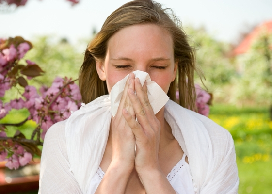 Hay fever Prevention